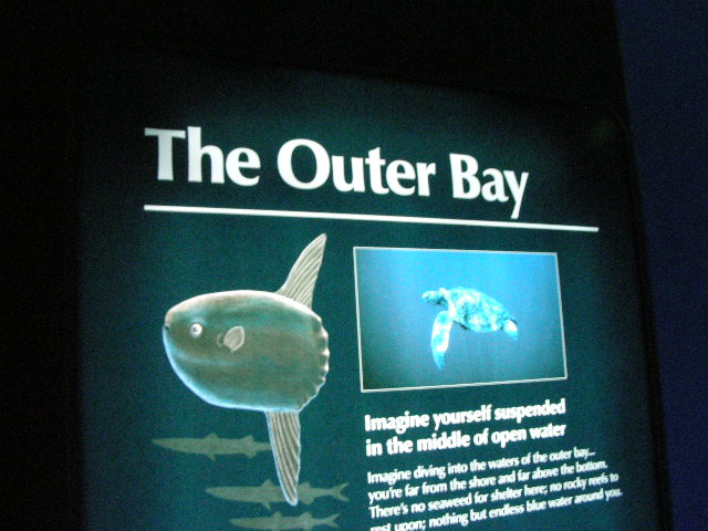 DSCN1335b.JPG