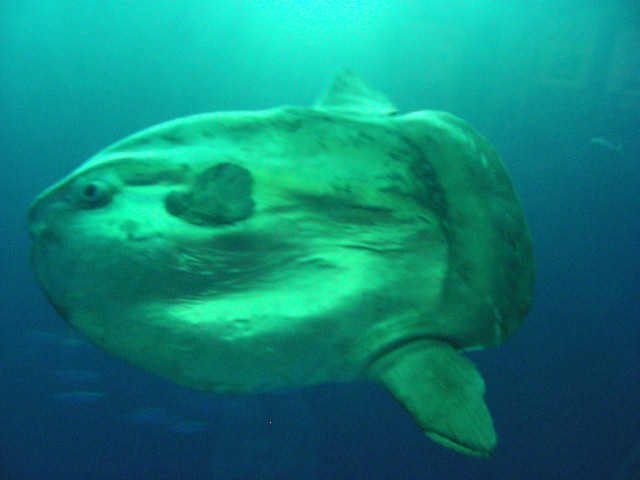 DSCN1336.JPG