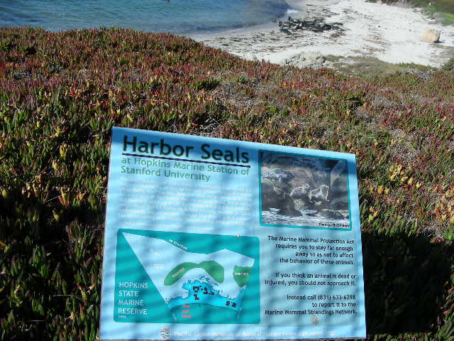 DSCN1344.JPG