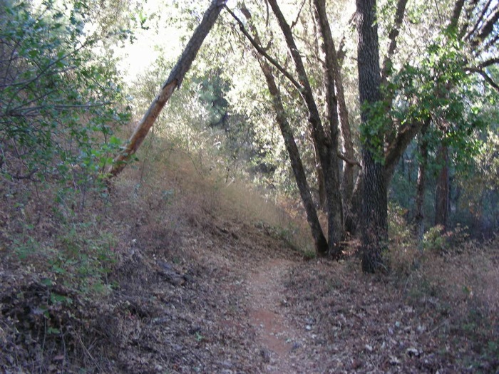 th_DSCN1064.jpg