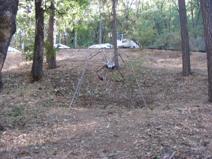 th_DSCN1071.jpg