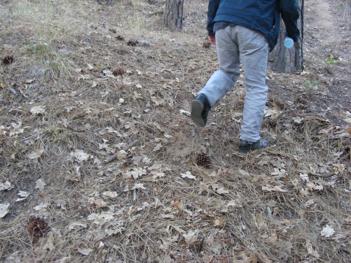 th_DSCN1072.jpg