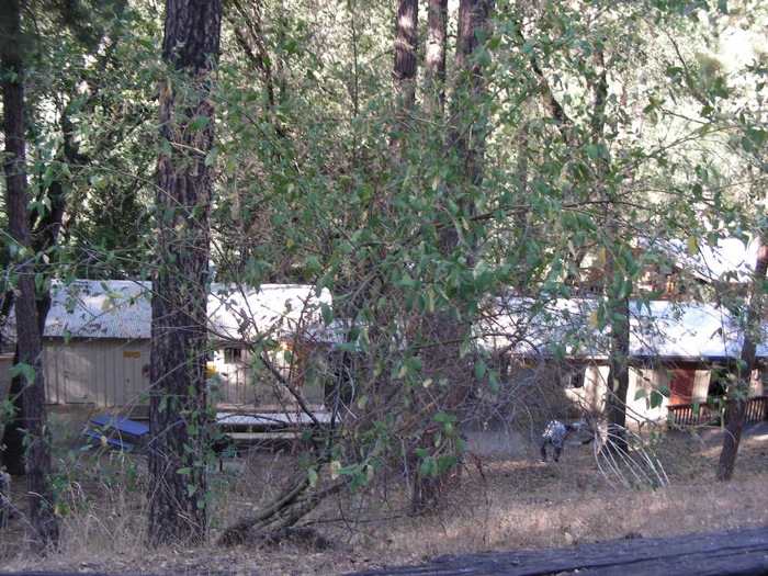th_DSCN1073.jpg