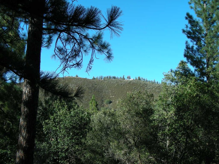 th_DSCN1074.jpg