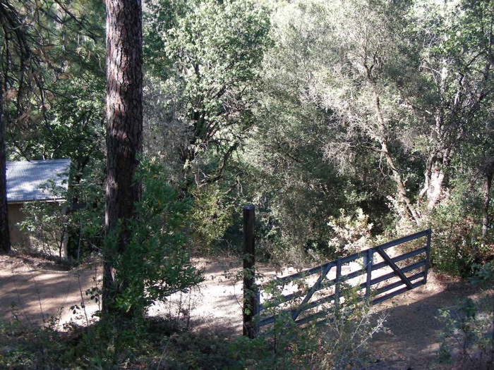 th_DSCN1075.jpg