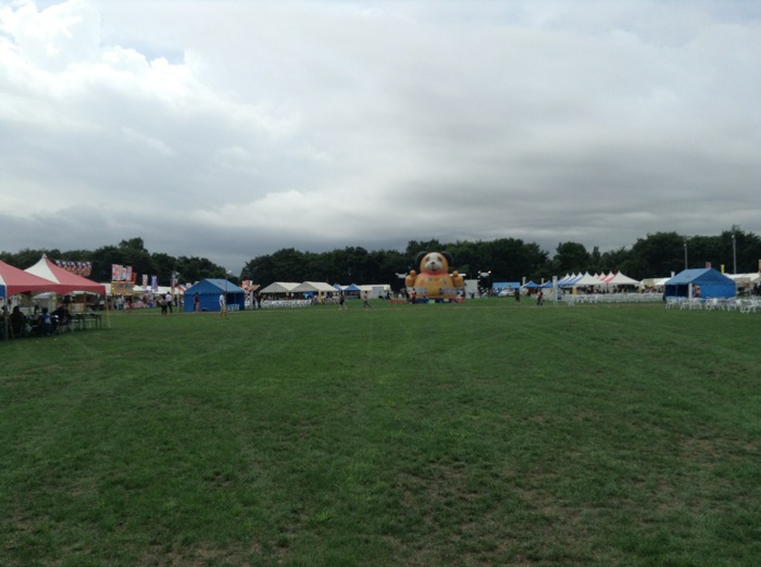 th_IMG_8893.jpg