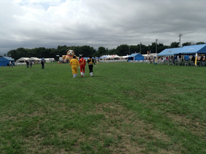 th_IMG_8937.jpg