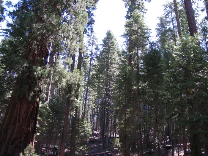 th_DSCN1117.jpg