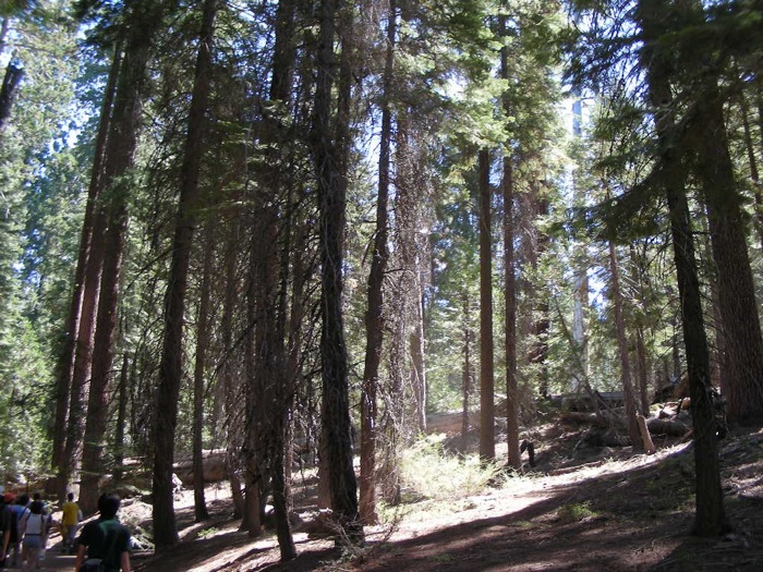 th_DSCN1140.jpg