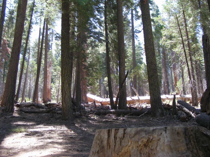 th_DSCN1147.jpg