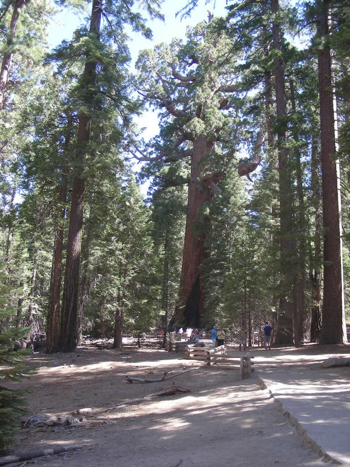 th_DSCN1149.jpg