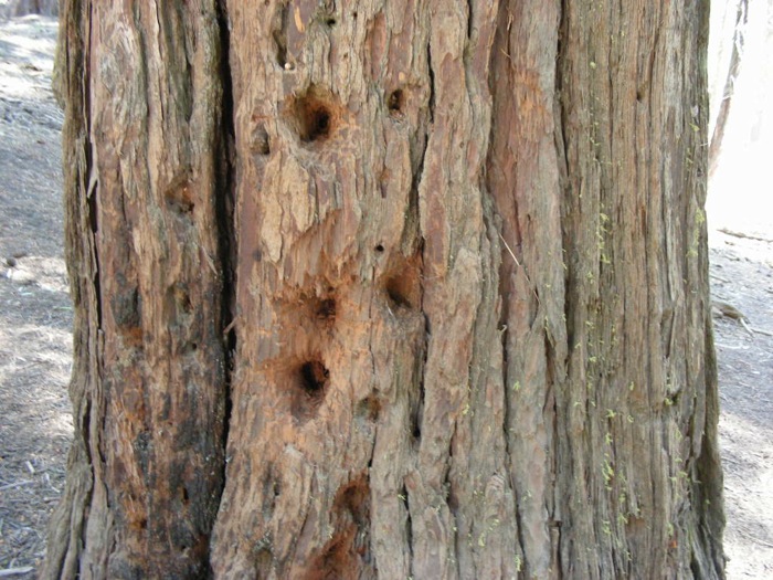 th_aDSCN1114.jpg