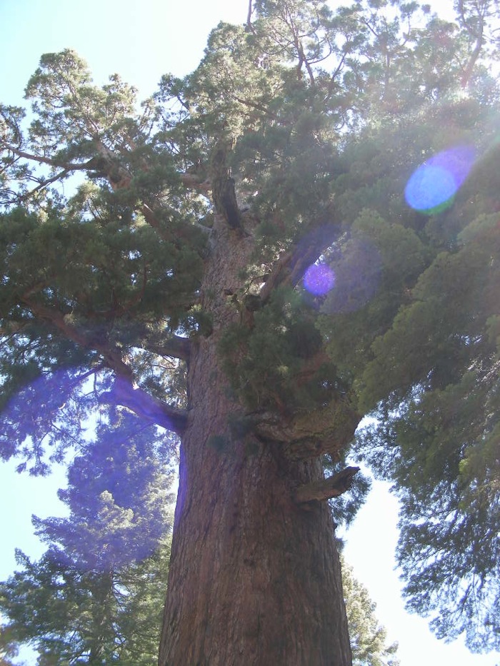 th_aDSCN1153.jpg