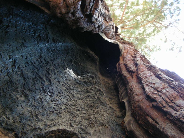 th_aDSCN1158.jpg