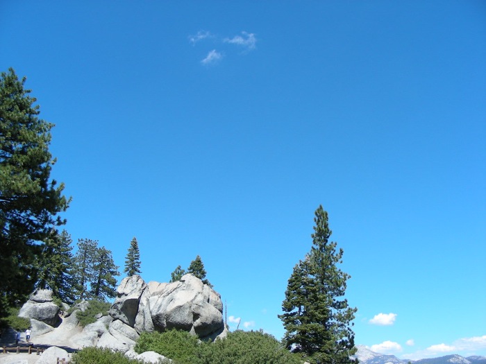 th_DSCN1184.jpg