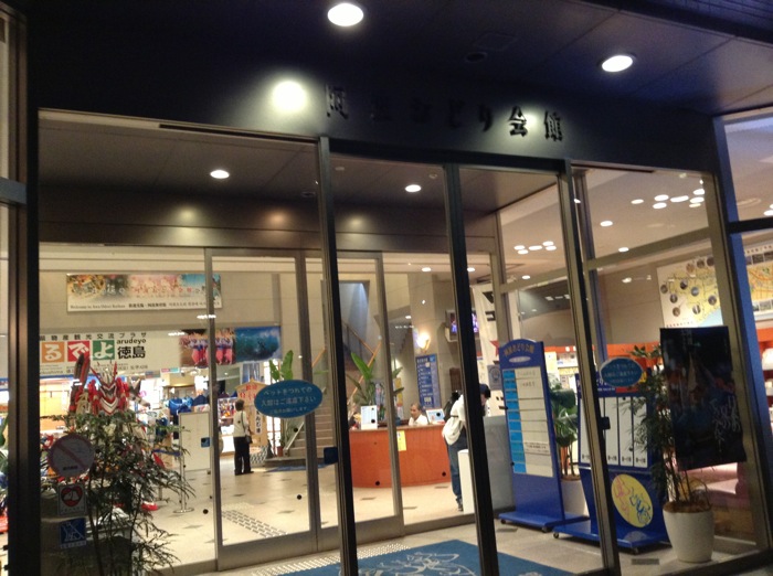 th_IMG_0263.jpg