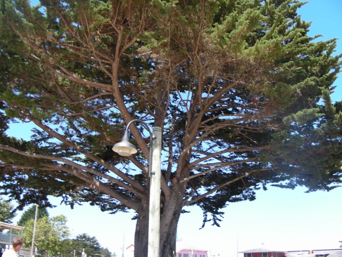 th_DSCN1226.jpg