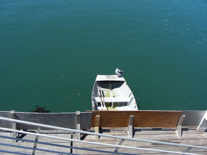 th_DSCN1230.jpg