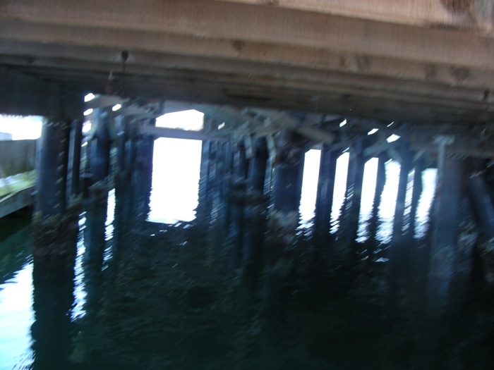 th_DSCN1233.jpg