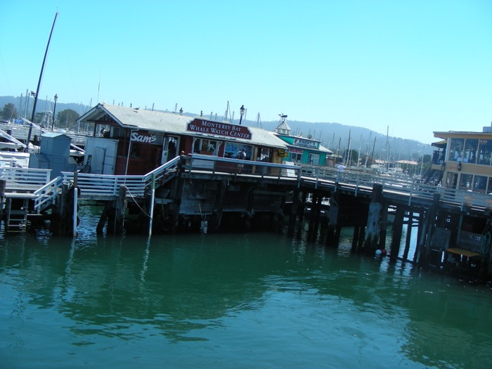 th_DSCN1236.jpg