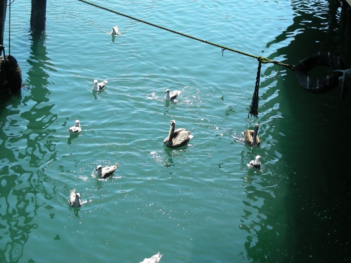 th_DSCN1238.jpg