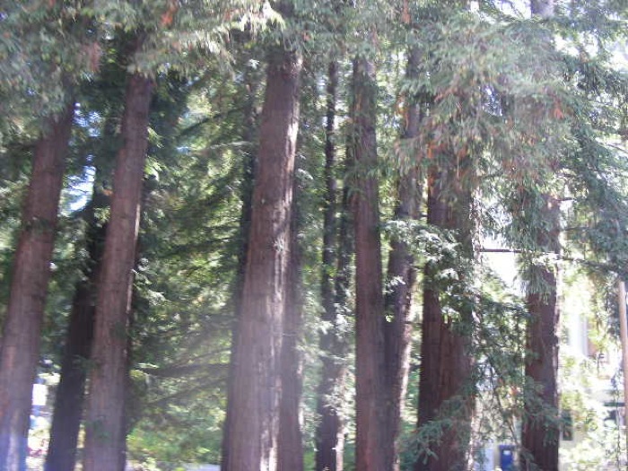 th_DSCN0415.jpg