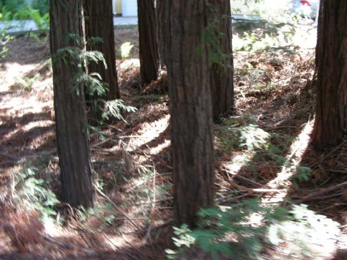 th_DSCN0416.jpg