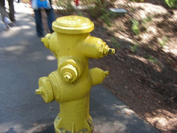 th_DSCN0417.jpg