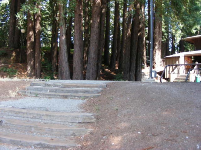 th_DSCN0424.jpg