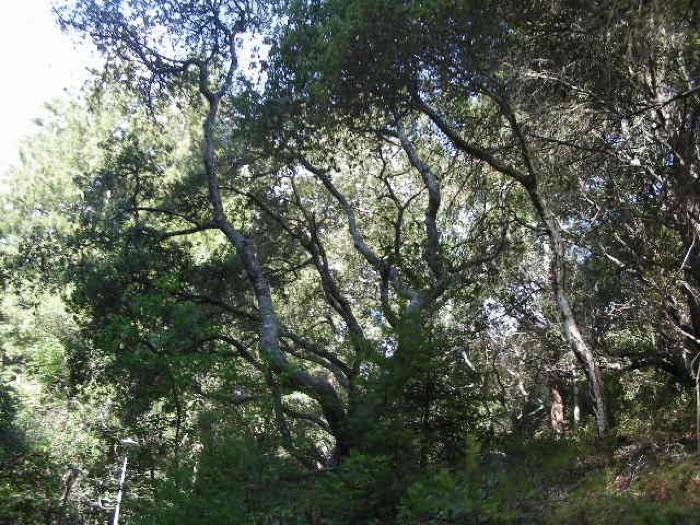 th_DSCN0432.jpg
