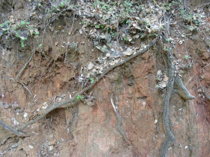 th_DSCN0435.jpg
