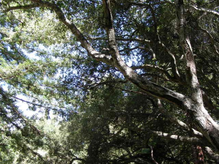 th_DSCN0436.jpg