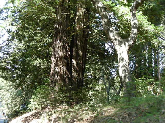 th_DSCN0441.jpg