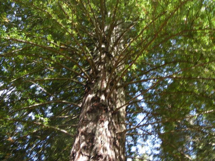 th_DSCN0442.jpg