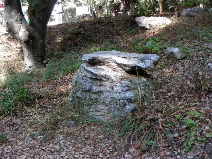 th_DSCN0445.jpg