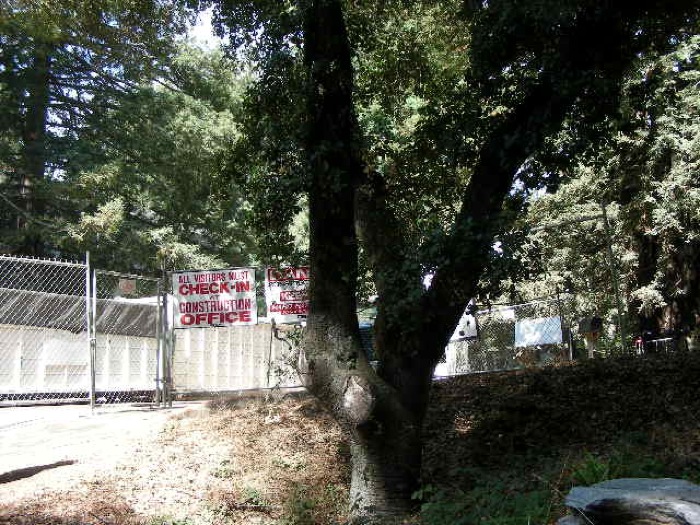 th_DSCN0446.jpg