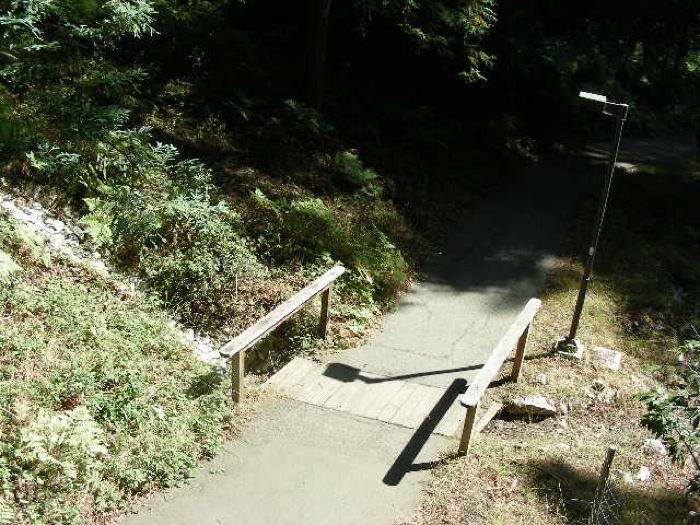 th_DSCN0452.jpg