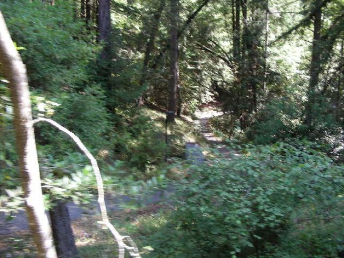 th_DSCN0455.jpg