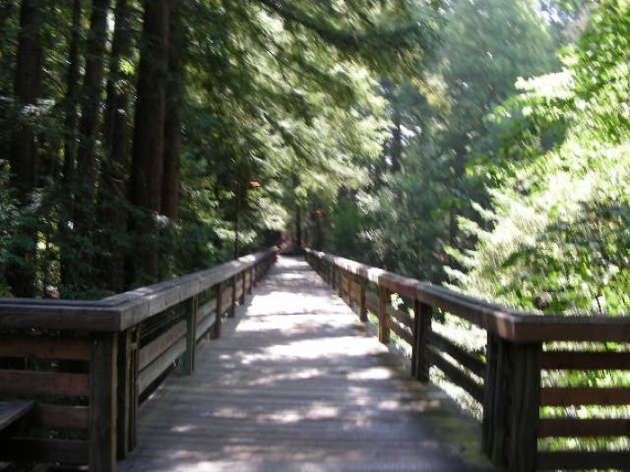 th_DSCN0457.jpg