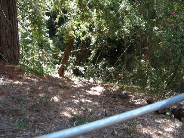 th_DSCN0463.jpg