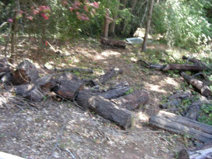 th_DSCN0464.jpg