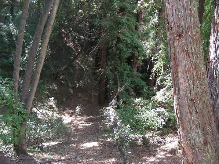 th_DSCN0467.jpg