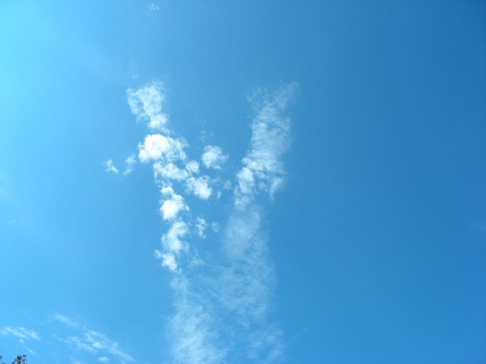 th_DSCN0471.jpg