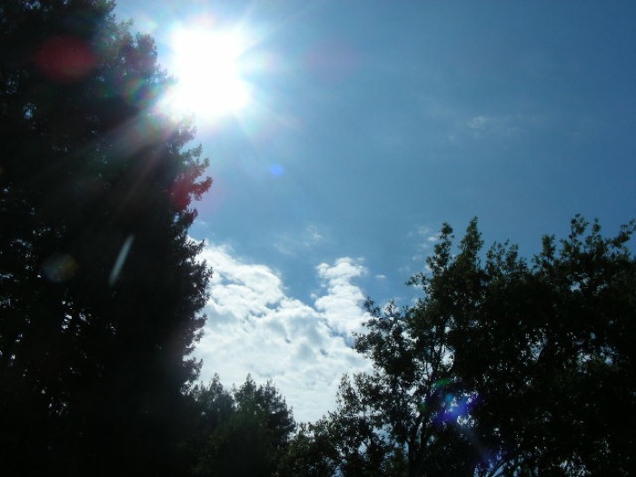 th_DSCN0472.jpg