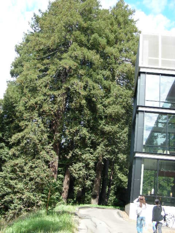 th_DSCN0478.jpg