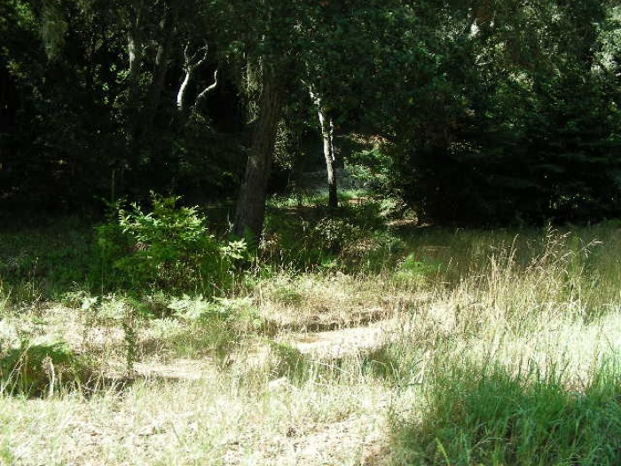 th_DSCN0479.jpg