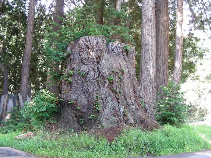 th_DSCN0483.jpg