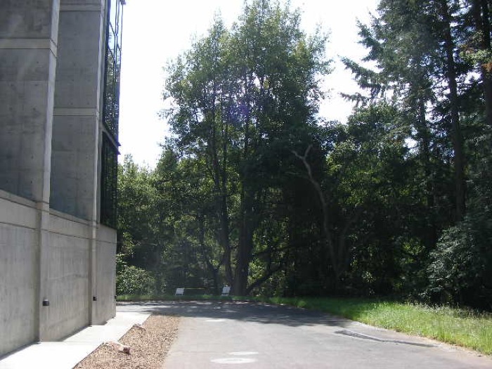 th_DSCN0486.jpg