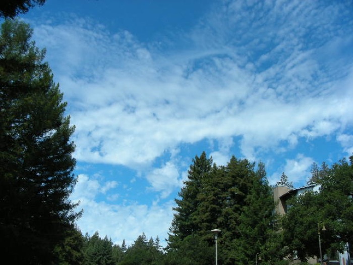 th_DSCN0487.jpg
