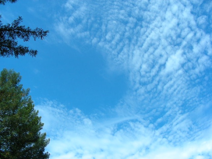 th_DSCN0488.jpg
